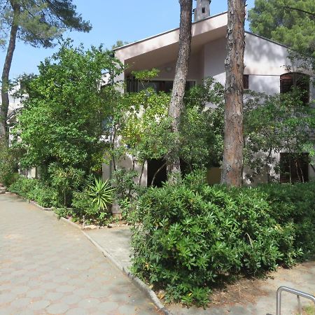 Soline Beach Apartments Biograd Na Moru Zewnętrze zdjęcie